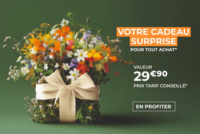Cadeau SURPRISE pour tout achat*