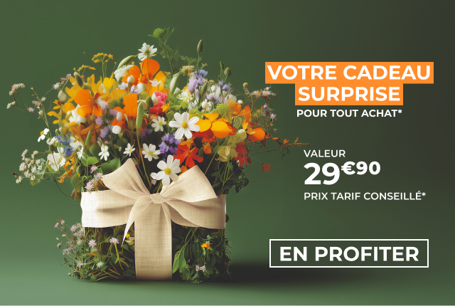 Cadeau SURPRISE pour tout achat*