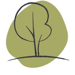 1 arbre planté